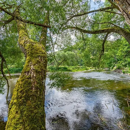 Le Jardin Du Vieux Moulin 6b * Rendeux