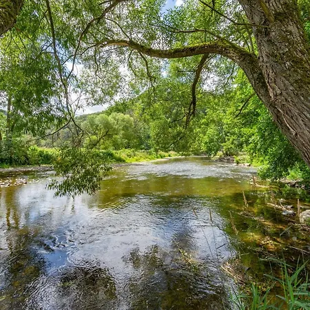 Le Jardin Du Vieux Moulin 6b *